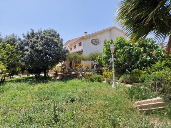 Casa o chalet independiente en Ciudad Jardín, Elche / Elx photo 4