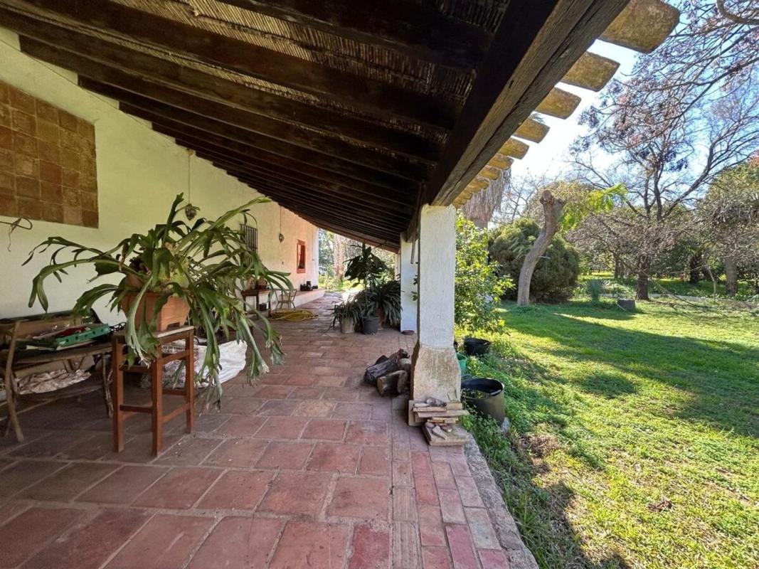 Properties for sale and rent in Spain photo 5
