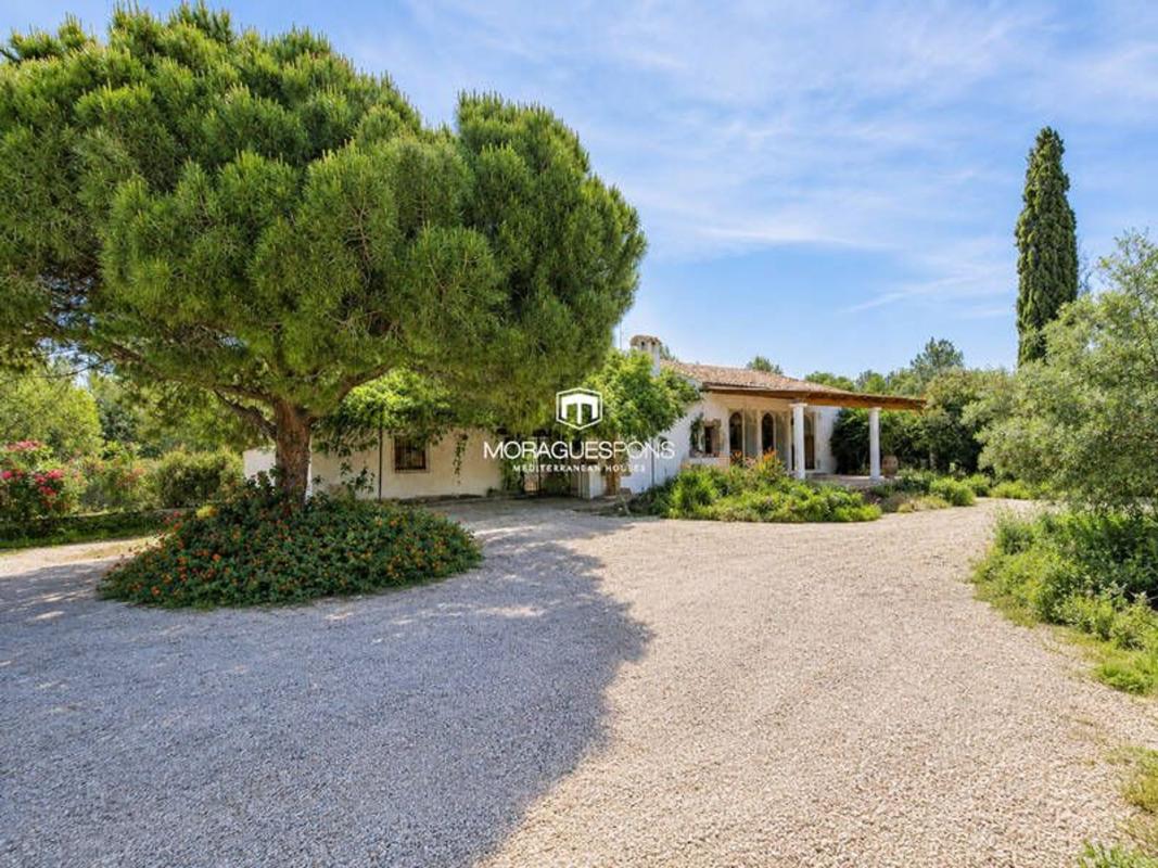 Properties for sale and rent in Spain photo 1