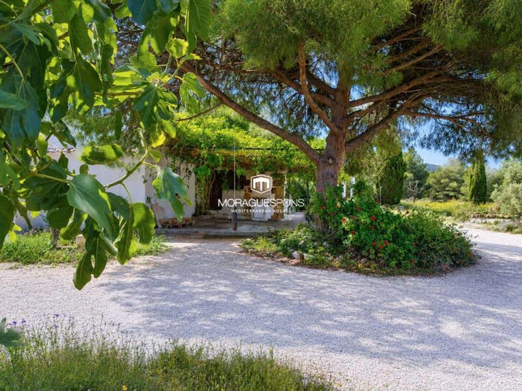 Properties for sale and rent in Spain photo 3