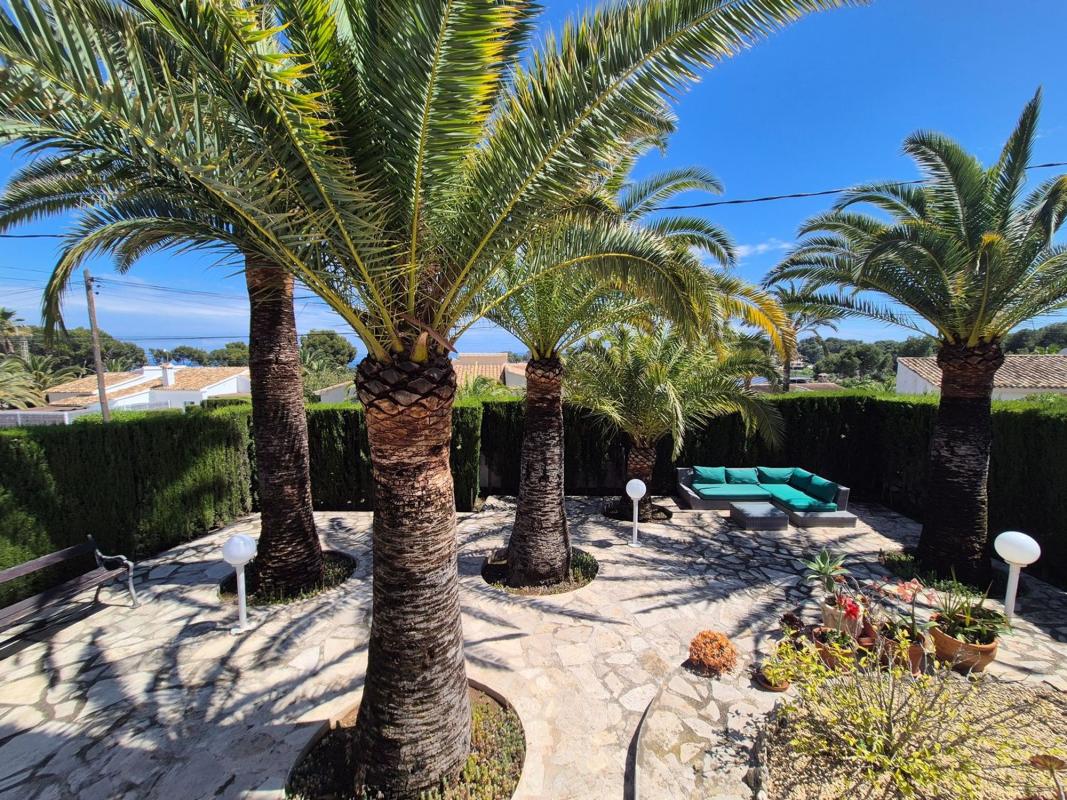 Properties for sale and rent in Spain photo 3