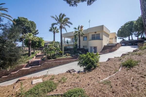Casa o chalet independiente en La Galia-Bonavista, Elche / Elx photo 1