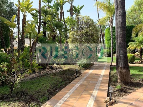Casa o chalet independiente en Alzabares, Elche / Elx thumbnail 2