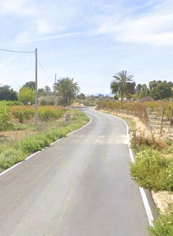 Finca rustykalna na sprzedaż w Finca rústica en Pd Valverde Bajo, Valverde, Elche / Elx , Elche / Elx thumbnail 2