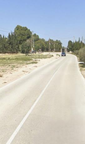 Finca rustykalna na sprzedaż w Finca rústica en Pd Valverde Bajo, Valverde, Elche / Elx , Elche / Elx thumbnail 3