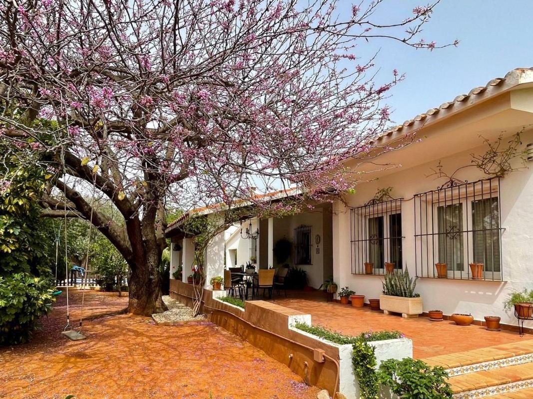 Propiedades en venta y alquiler en España photo 2