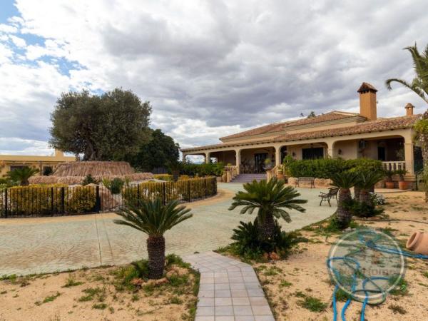Casa o chalet independiente en Partida Valverde Bajo, Valverde, Elche / Elx thumbnail 2
