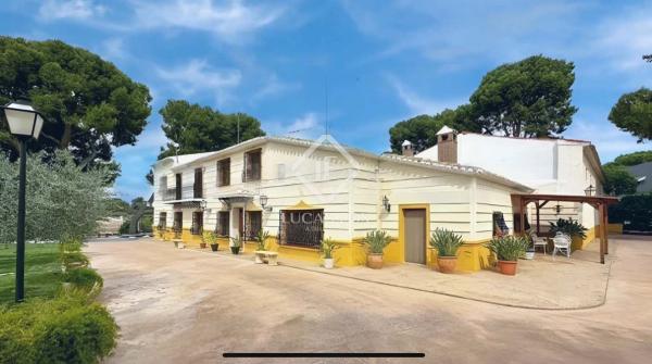 Casa o chalet independiente en Calle las Palmas, Petrer photo 1