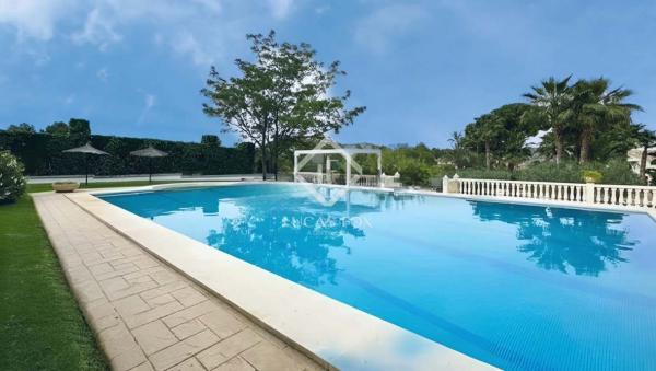 Casa o chalet independiente en Calle las Palmas, Petrer thumbnail 3