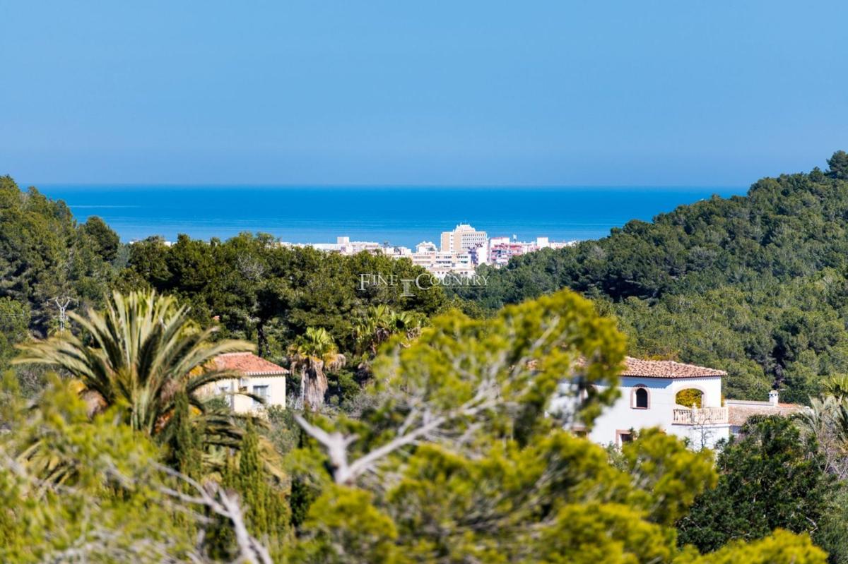 Properties for sale and rent in Spain photo 5