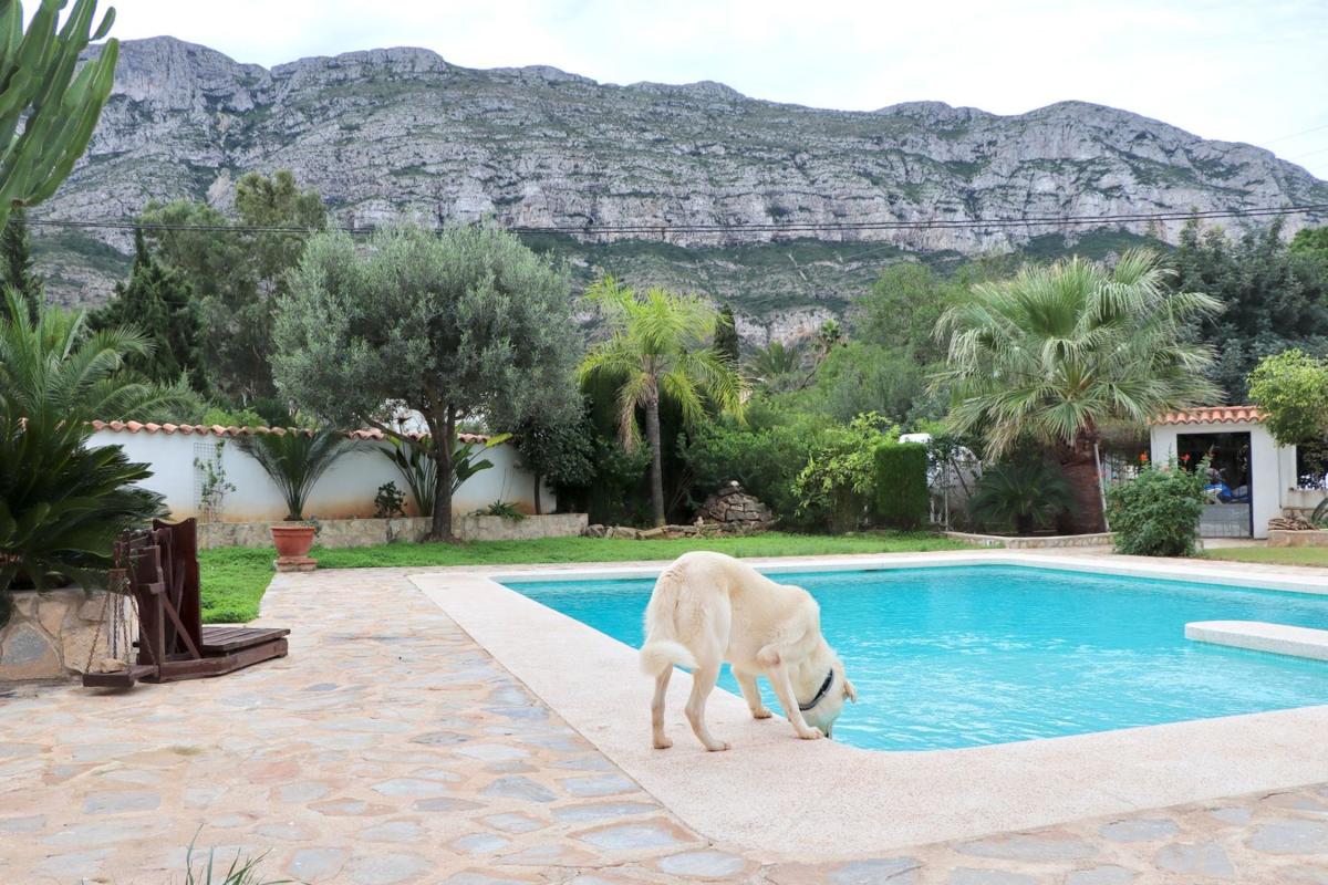 Properties for sale and rent in Spain photo 4