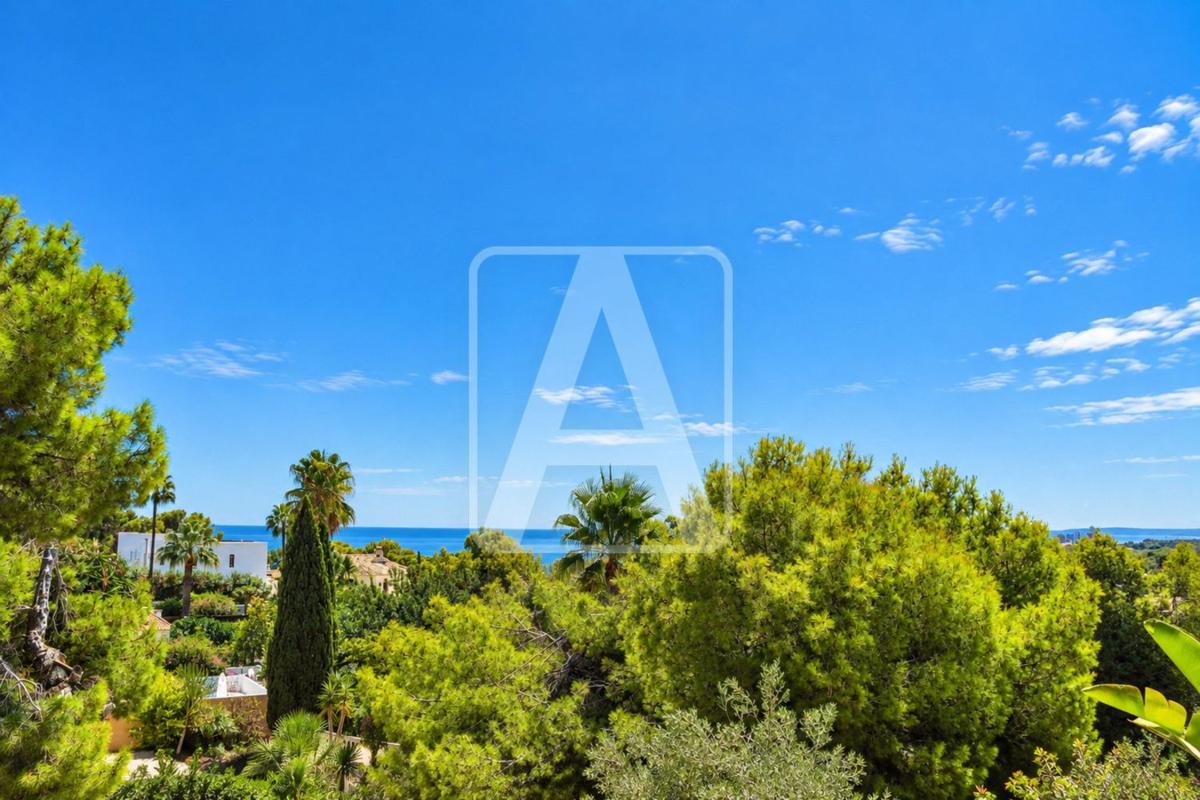 Properties for sale and rent in Spain photo 2