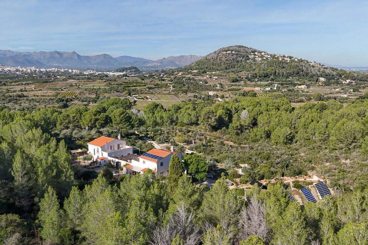 Properties for sale and rent in Spain photo 5