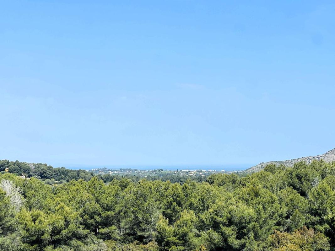 Properties for sale and rent in Spain photo 3