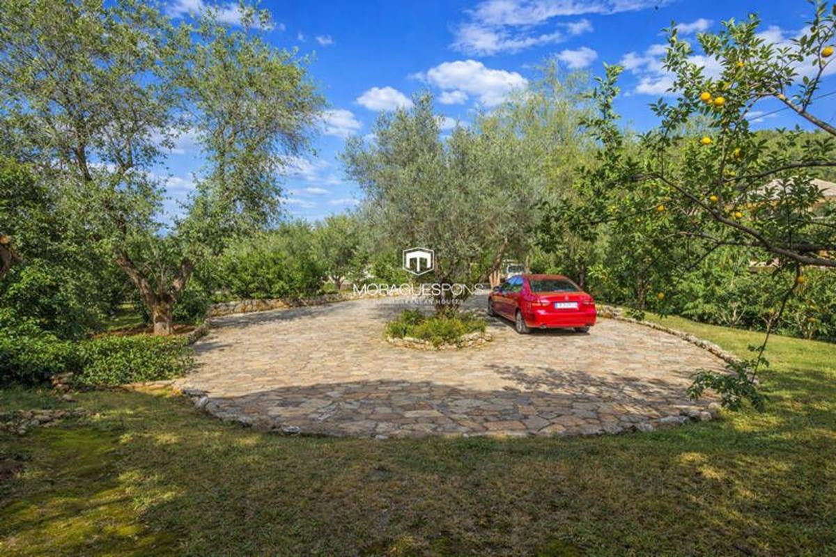 Properties for sale and rent in Spain photo 5