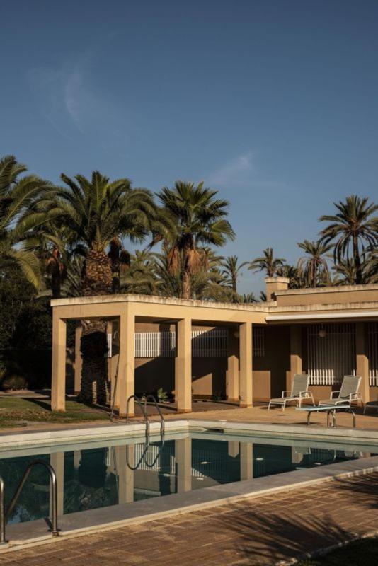 Sprzedaż niezależnego domku jednorodzinnego w Casa o chalet en Alzabares, Elche / Elx, Elche / Elx photo 5