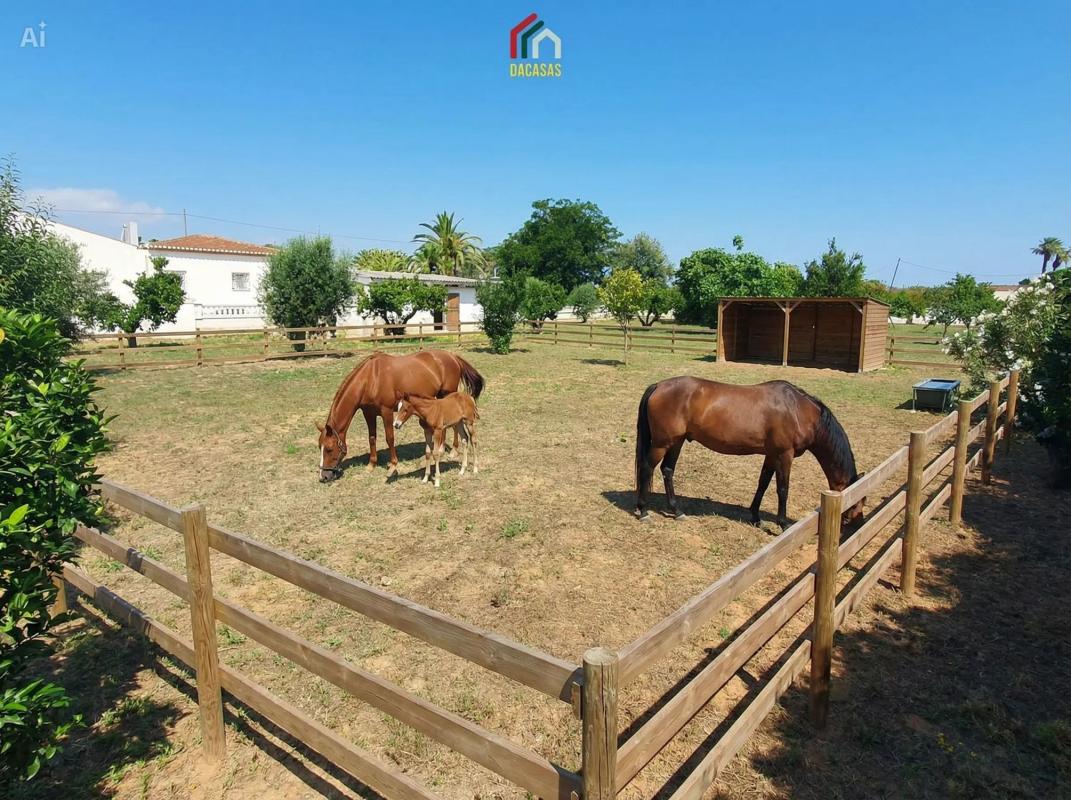 Недвижимость на продажу и в аренду в Испании photo 5