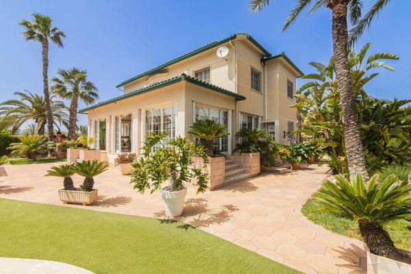 Casa o chalet independiente en La Galia-Bonavista, Elche / Elx thumbnail 2