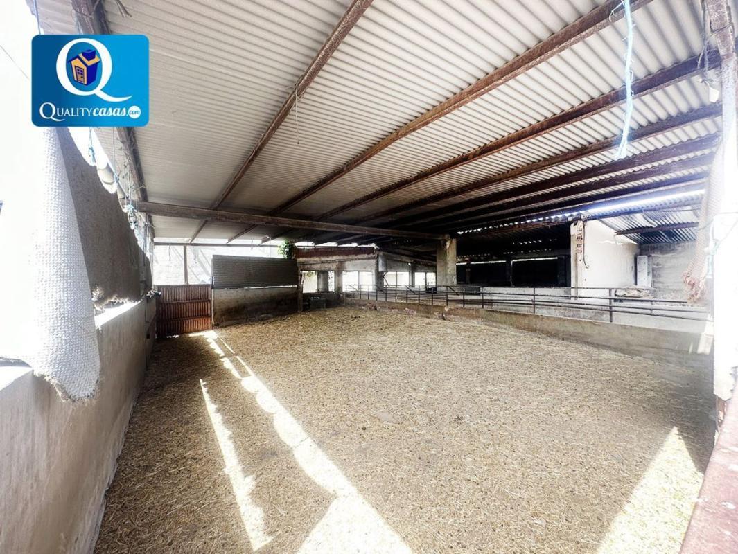 Propiedades en venta y alquiler en España photo 5