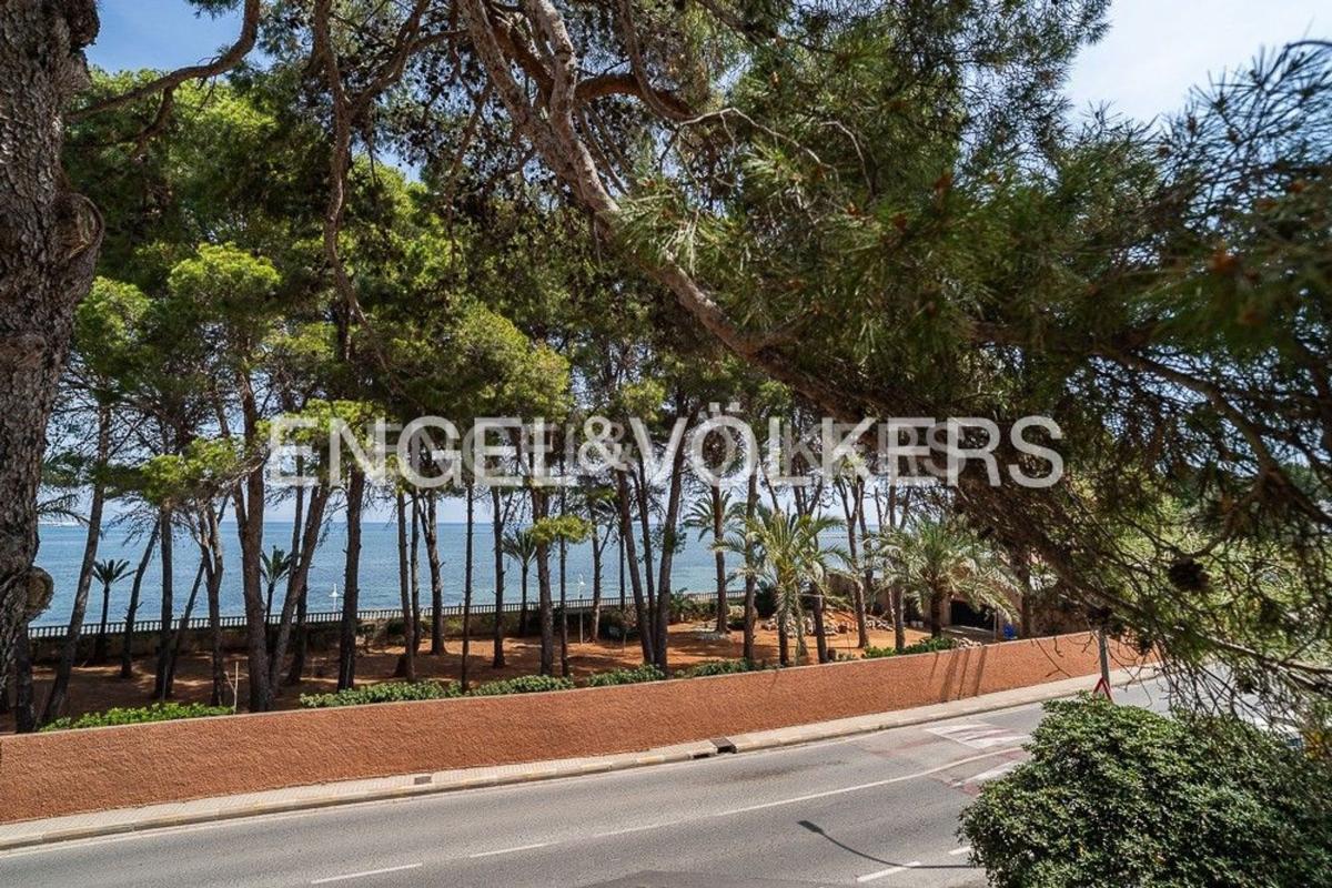Properties for sale and rent in Spain photo 3