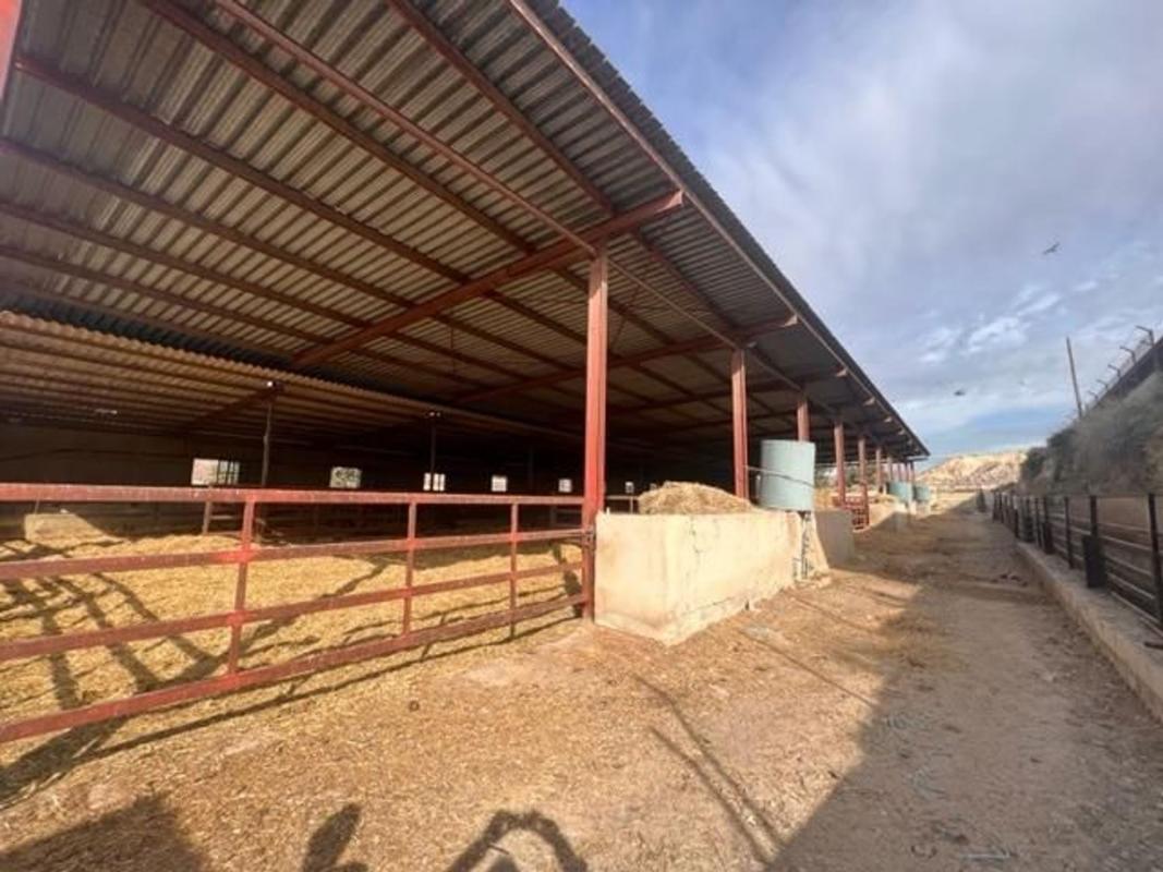 Propiedades en venta y alquiler en España photo 4