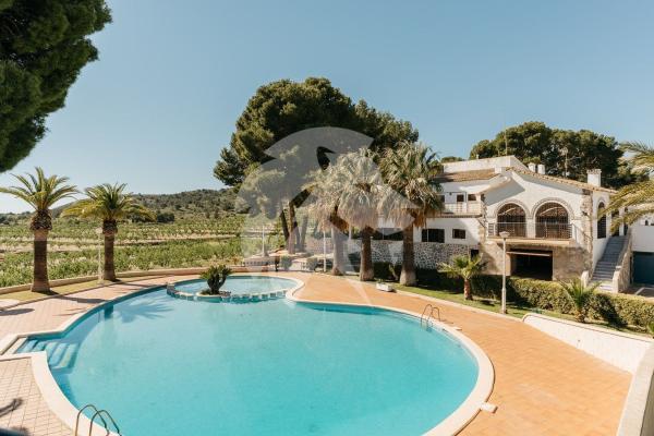 Casa de pueblo en Monovar photo 1