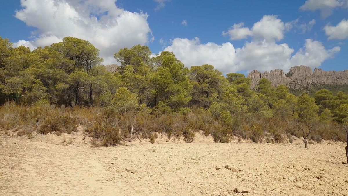 Terreno en venta en Finestrat, Alicante photo 2