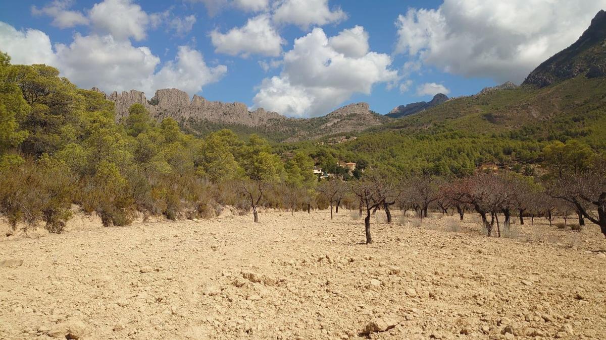 Terreno en venta en Finestrat, Alicante photo 3