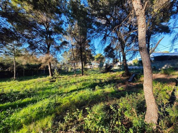 Terreno en Partida Cm Cap Marti, 241 a, El Tosalet - Cap Marti, Jávea/Xàbia photo 4