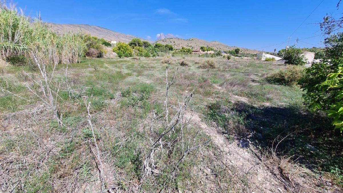 Land for sale in La Villajoyosa / Vila Joiosa, Alicante photo 5