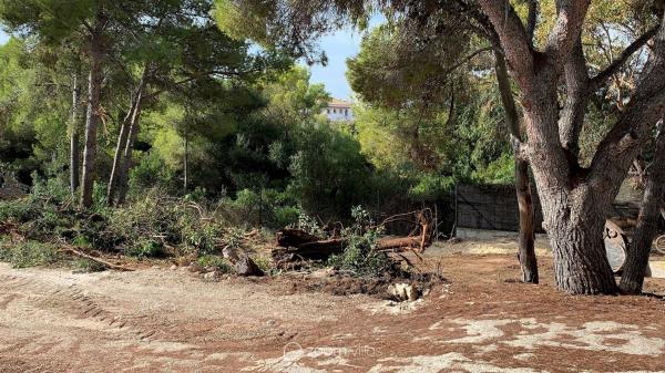 Terreno en Paichi, Moraira photo 1
