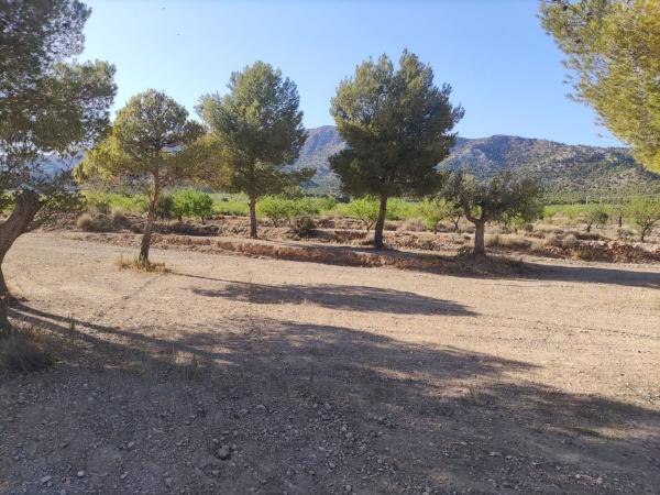 Terreno en Pinoso photo 2