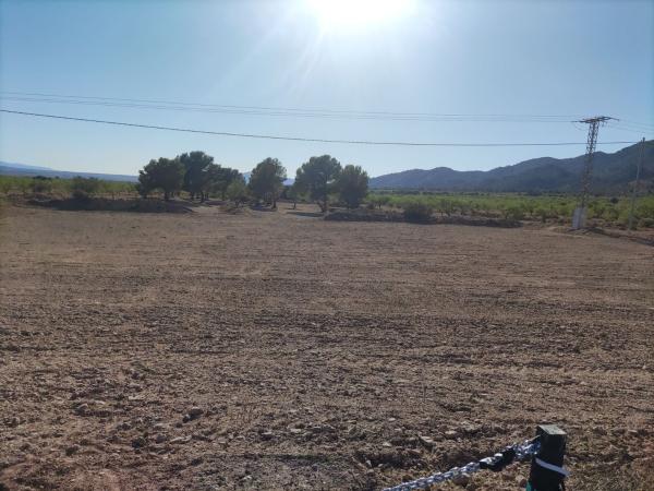 Terreno en Pinoso photo 3
