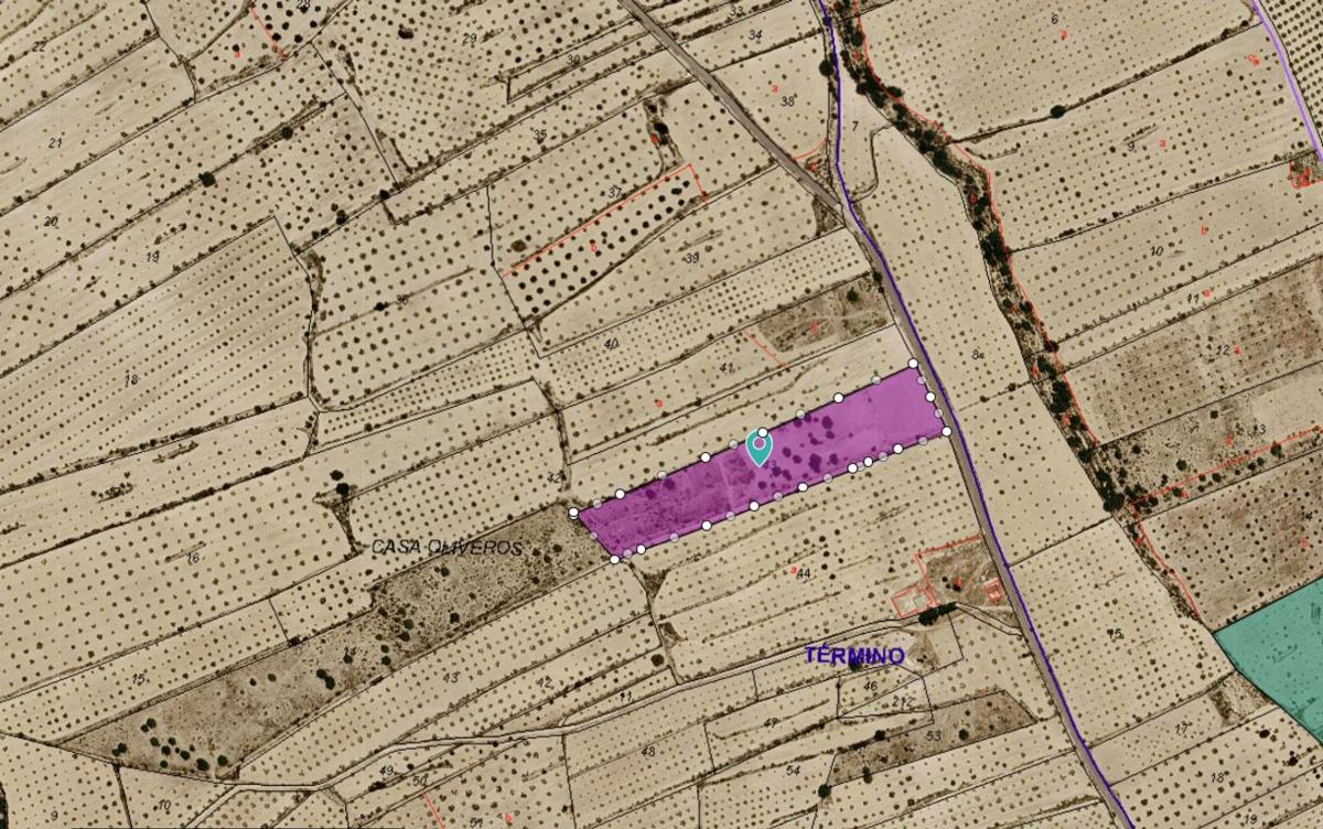 Land for sale in Pinoso, Alicante photo 4