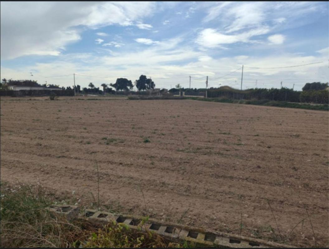 Terreno en venta en Elche / Elx, Alicante photo 1