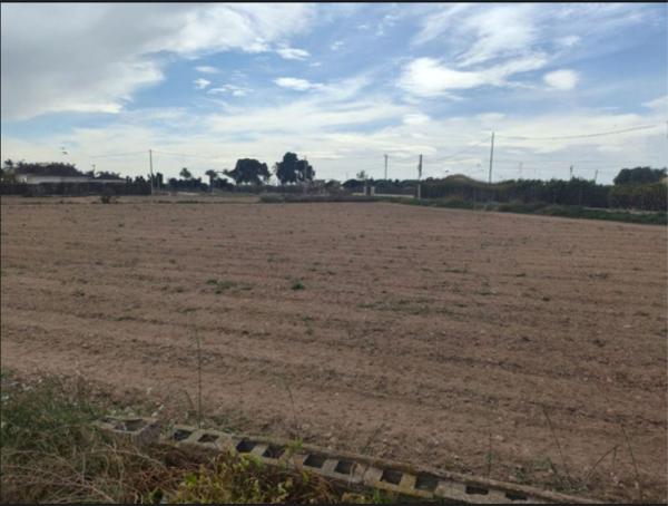 Terreno en Las Bayas s/n, Las Bayas-Asprillas, Elche / Elx photo 1