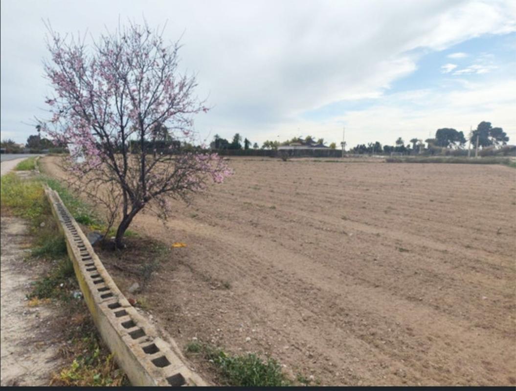 Terreno en venta en Elche / Elx, Alicante photo 2