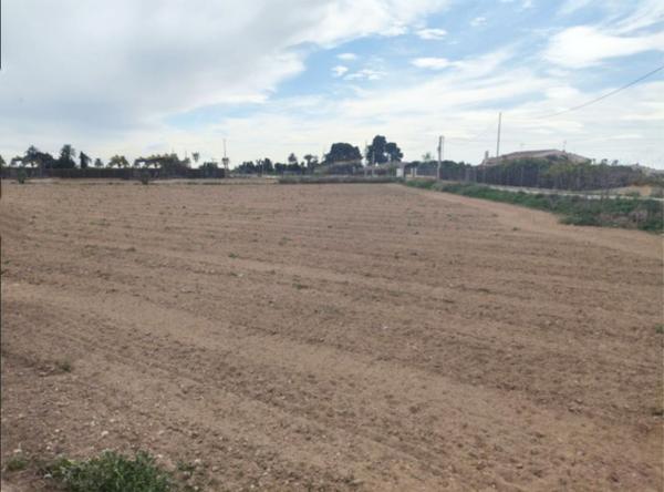 Terreno en Las Bayas s/n, Las Bayas-Asprillas, Elche / Elx thumbnail 3