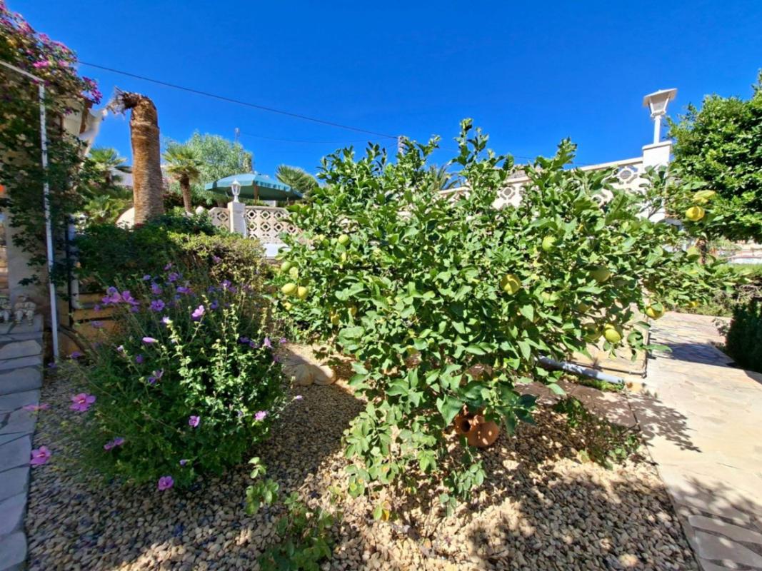 Продажа отдельного шале в Casa o chalet en Canuta, Calpe, Кальпе photo 3