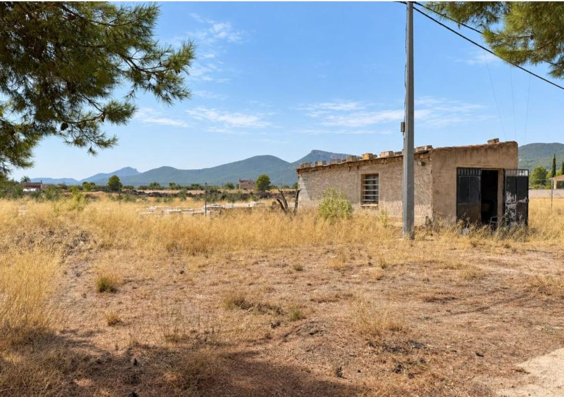 Properties for sale and rent in Spain photo 1