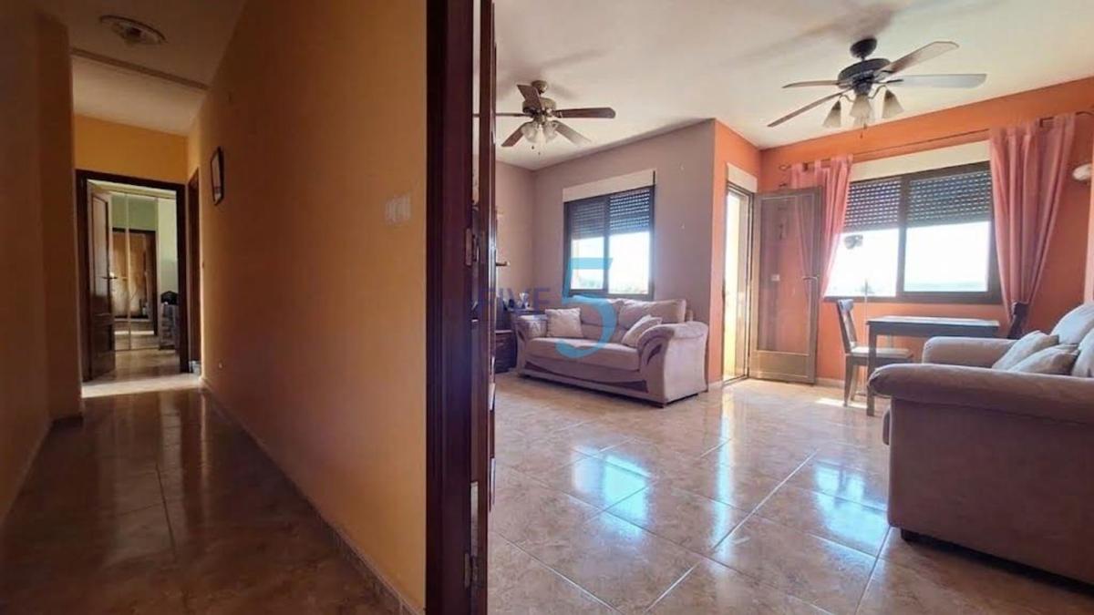Продажа квартиры на Piso en Centro, San Miguel de Salinas, Сан-Мигель-де-Салинас
photo 5