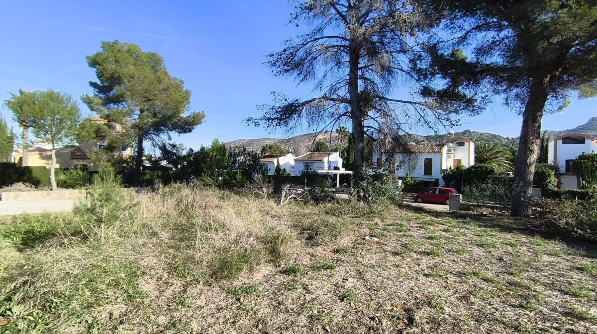 Land for sale in Pedreguer, Alicante photo 3