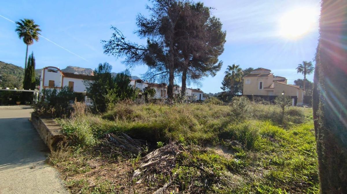 Land for sale in Pedreguer, Alicante photo 4