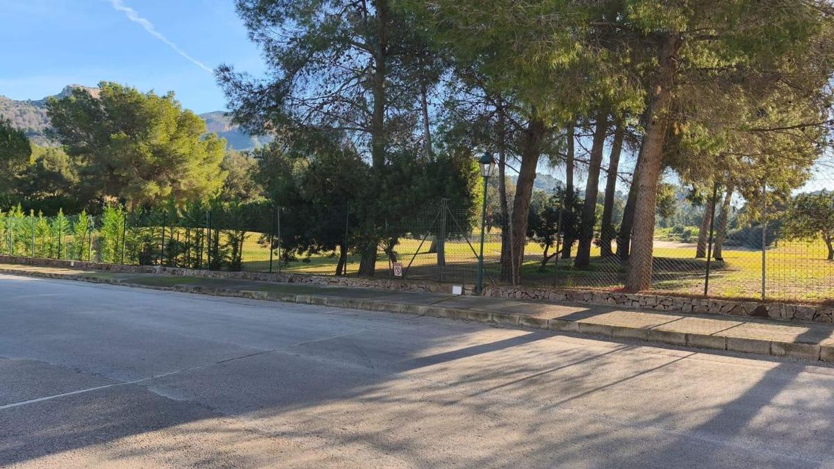 Land for sale in Pedreguer, Alicante photo 5
