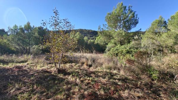 Terreno en Partida Pla de la Llacuna, Vall de Gallinera photo 4