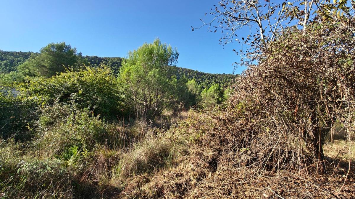 Działka na sprzedaż w Val de Gallinera, Alicante photo 5