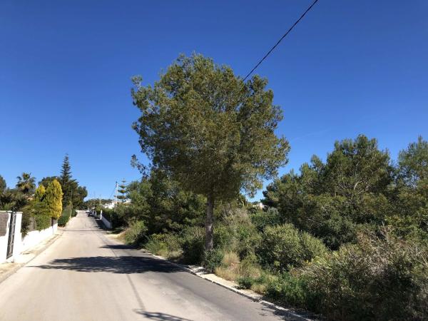 Terreno en Centro Ciudad, Jávea/Xàbia photo 4