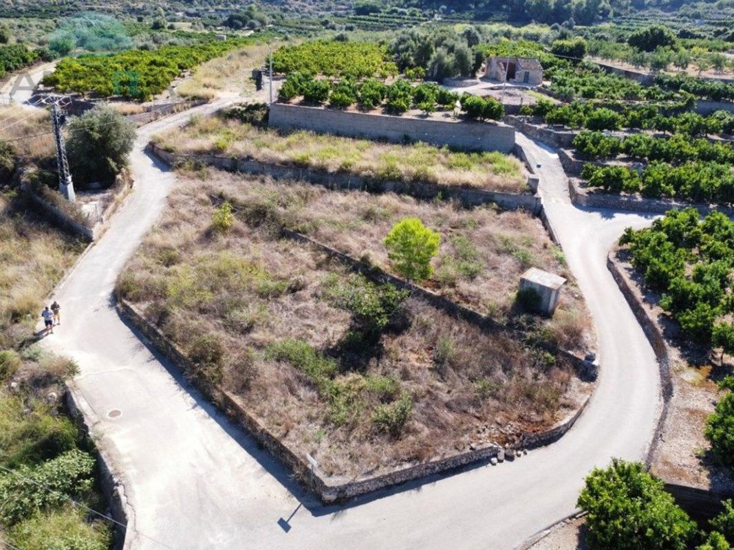 Land for sale in Pego, Alicante photo 3