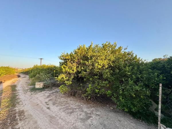 Terreno en Cv-921, 1, Orihuela Ciudad, Orihuela photo 4