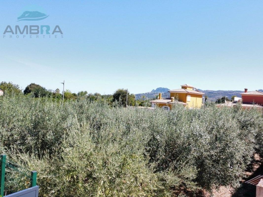 Terreno en venta en Pego, Alicante photo 3